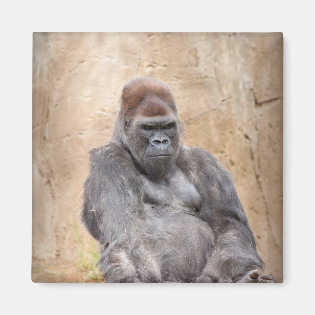 Male Gorilla Magnet (Front)