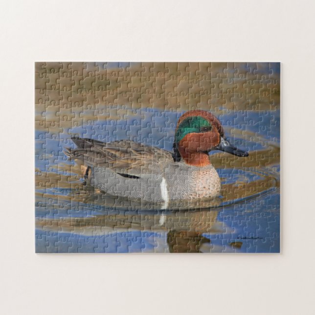 Male Green-Winged Teal at the Pond Jigsaw Puzzle (Horizontal)