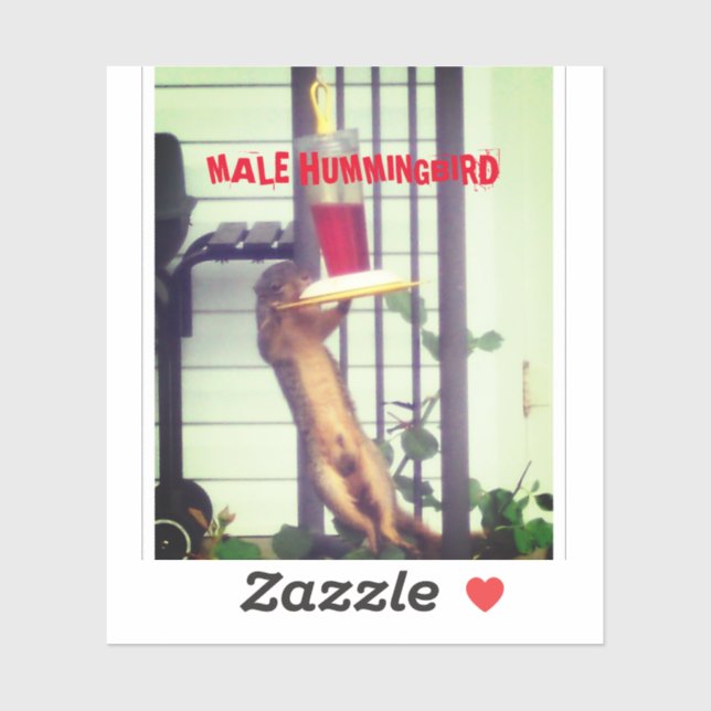 MALE HUMMINGBIRD (Sheet)