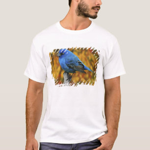 Male Indigo Bunting, Passerina cyanea T-Shirt