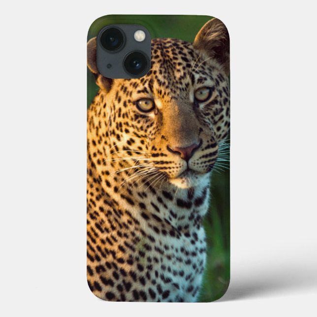 Male Leopard (Panthera Pardus) Full-Grown Cub Case-Mate iPhone Case (Back)