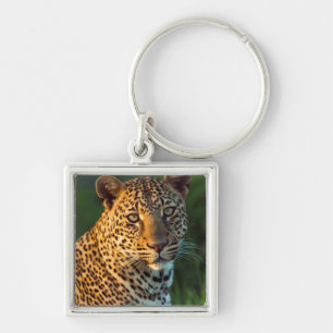 Male Leopard (Panthera Pardus) Full-Grown Cub Keychain
