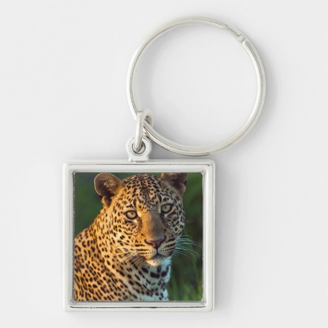 Male Leopard (Panthera Pardus) Full-Grown Cub Keychain (Front)
