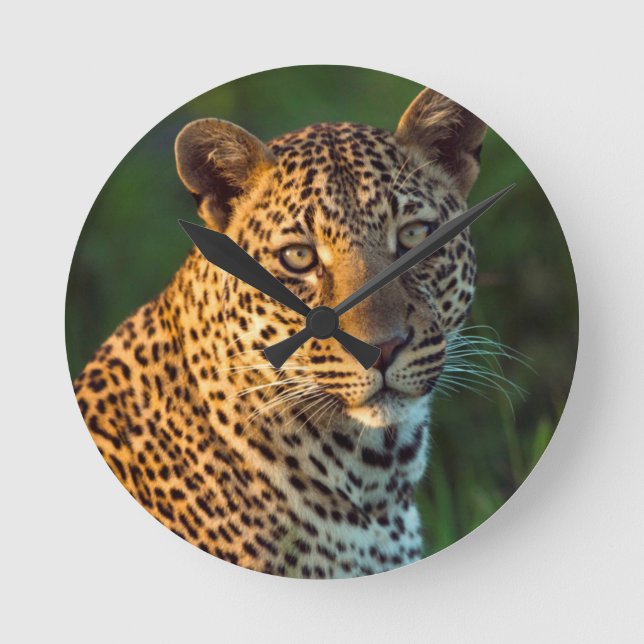 Male Leopard (Panthera Pardus) Full-Grown Cub Round Clock (Front)