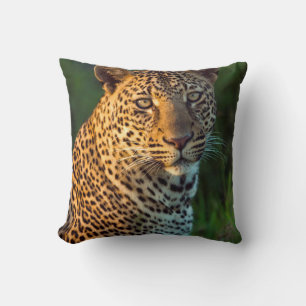 Male Leopard (Panthera Pardus) Full-Grown Cub Throw Pillow