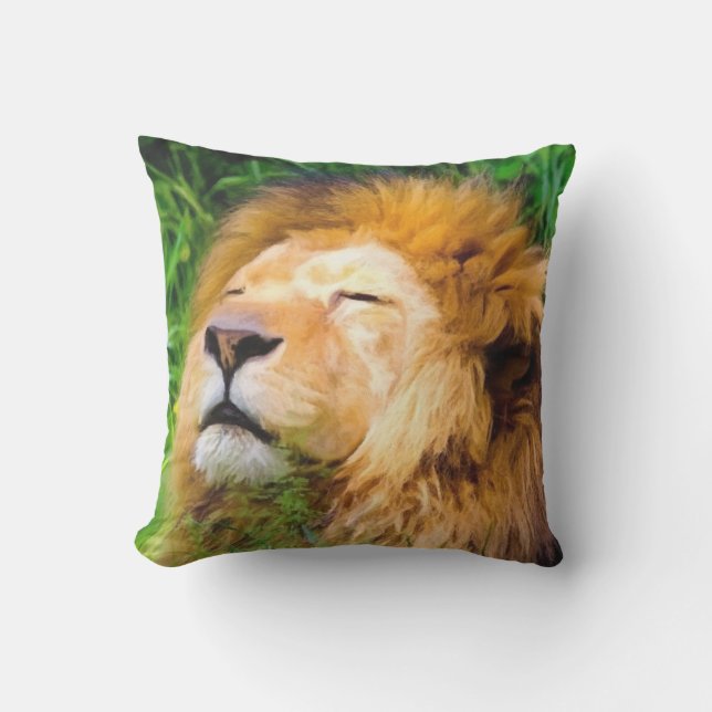 Male Lion Basking in Sun Big Cat Outdoor Pillow (Front)