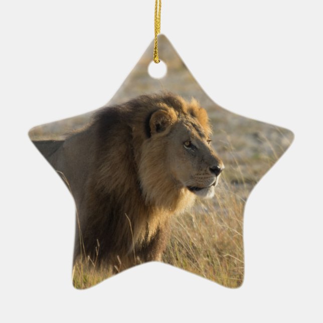 MALE LION CERAMIC ORNAMENT (Front)