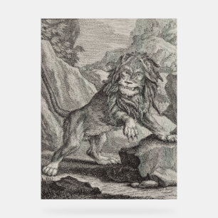 Male Lion in Serengeti National Park, Tanzania Acrylic Sign