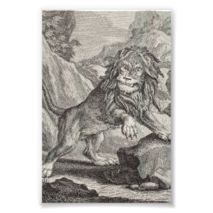 Male Lion in Serengeti National Park, Tanzania Photo Print