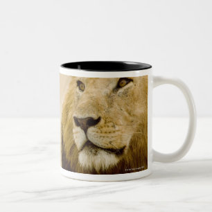 Male lion (Panthera leo) portrait, Masai Mara, Two-Tone Coffee Mug