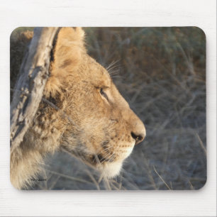 MALE LION PORTRAIT MOUSE PAD