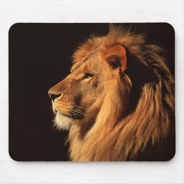 Male Lion Profile - Wildlife Images by Steven Holt Mouse Pad (Front)