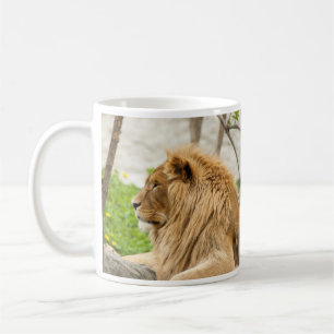 Male Lion Resting in Grass Coffee Mug