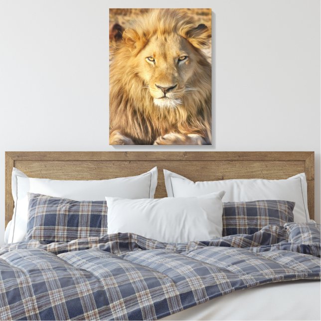 MALE LION STRETCHED CANVAS PRINT (Insitu(Bedroom))