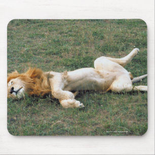 Male Lion Stretching Mouse Pad