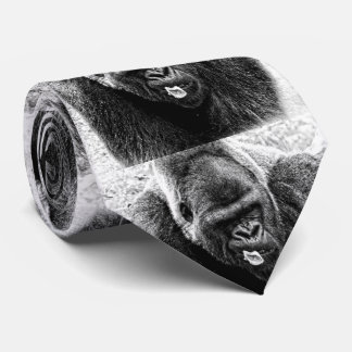 Male Lowland Silverback Gorilla, Black and White Tie