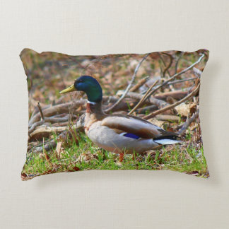 Male Mallard Duck Accent Pillow