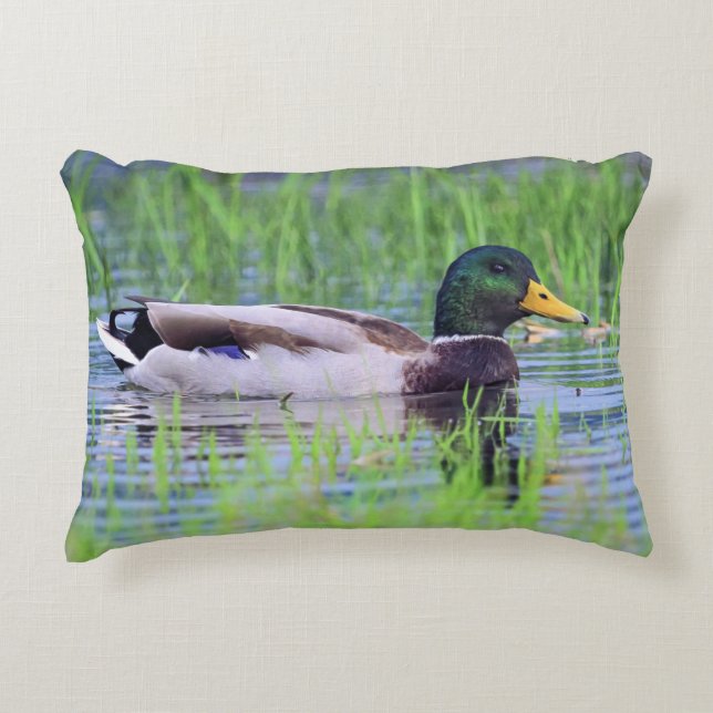 Male mallard duck floating on the water accent pillow (Front)