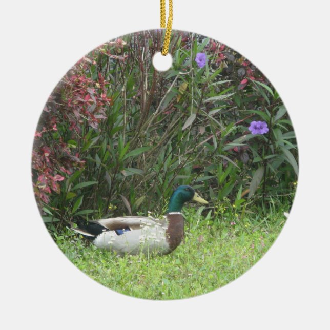 Male Mallard Ducks Ornament (Front)