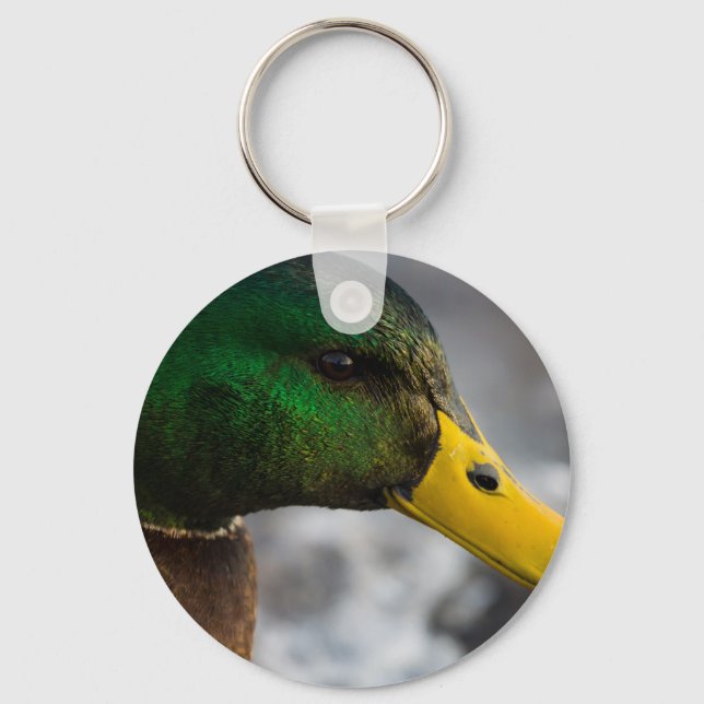 Male Mallard Portrait Keychain (Front)