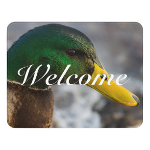 Male Mallard Portrait Welcome Door Sign