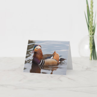 Male Mandarin Duck Notecard