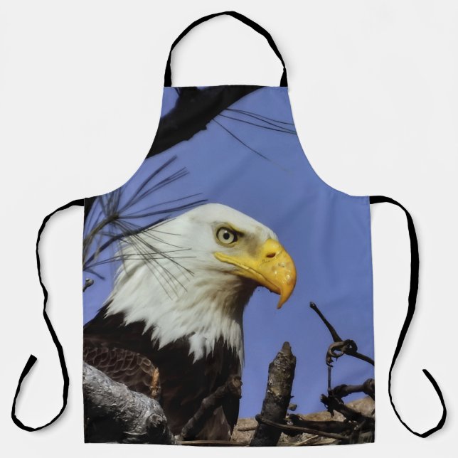 Male Mature Bald Eagle  Apron (Front)