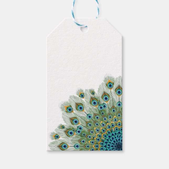 Male Peacock Colourful Mandala Gift Tags (Front)