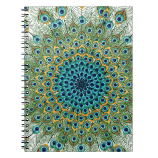 Male Peacock Colourful Mandala Notebook