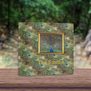 Male Peacock Feather Photo Album Binder