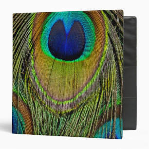 Male peacock tail feathers binder