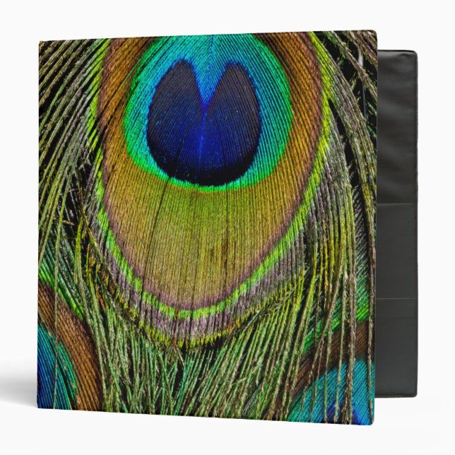 Male peacock tail feathers binder (Front/Inside)