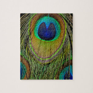 Male peacock tail feathers jigsaw puzzle