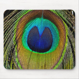 Male peacock tail feathers mouse pad