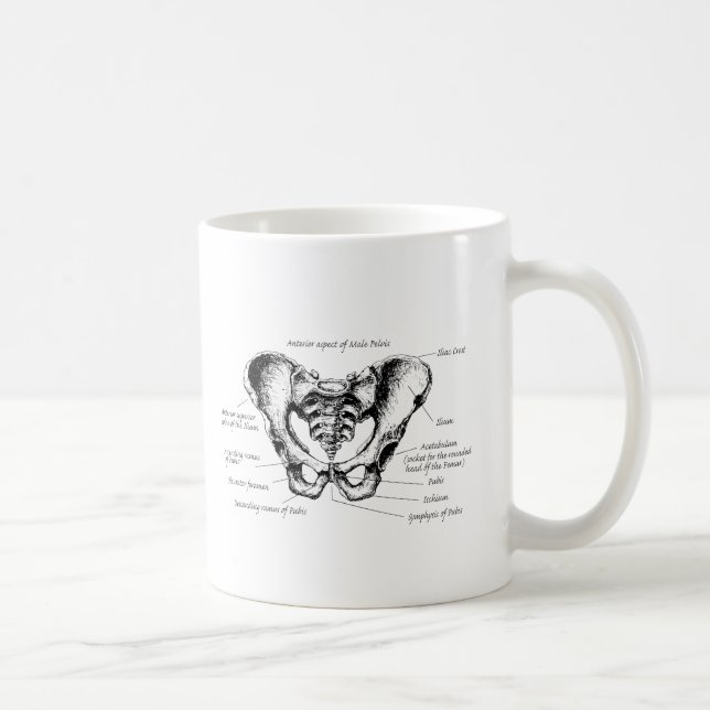 Male Pelvis Details Coffee Mug (Right)
