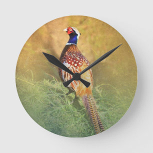 Male Pheasant Wall Clock