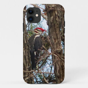 Male Pileated Woodpecker iPhone 11 Case