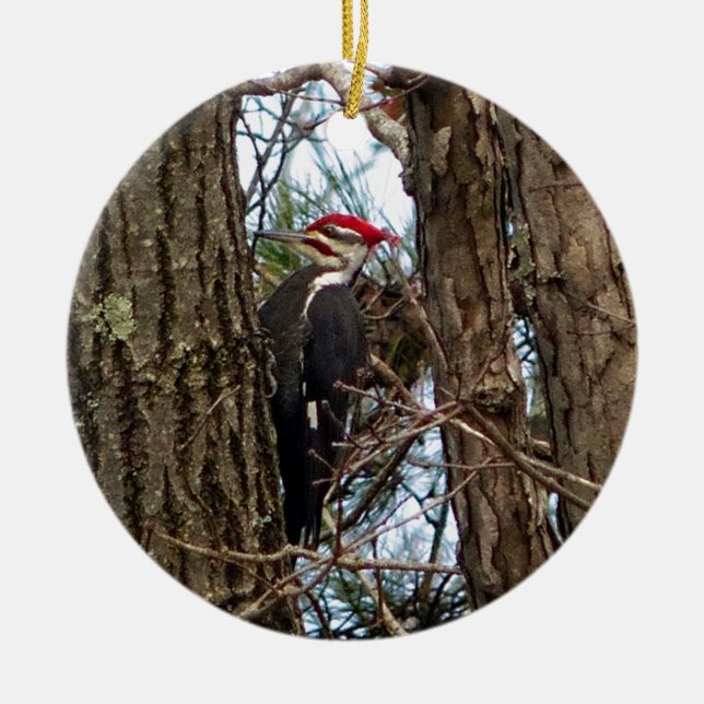 Male Pileated Woodpecker Ceramic Ornament (Front)