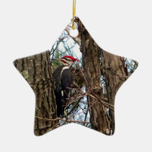 Male Pileated Woodpecker Ceramic Ornament