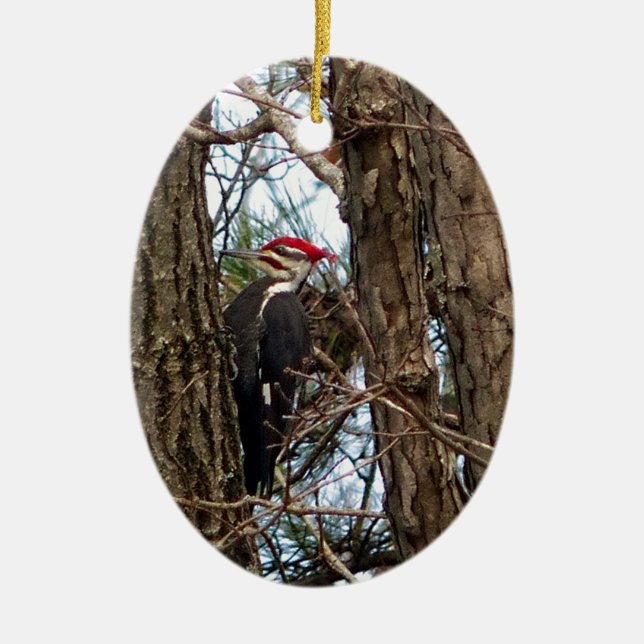 Male Pileated Woodpecker Ceramic Ornament (Front)