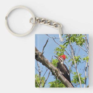 Male Pileated Woodpecker Keychain
