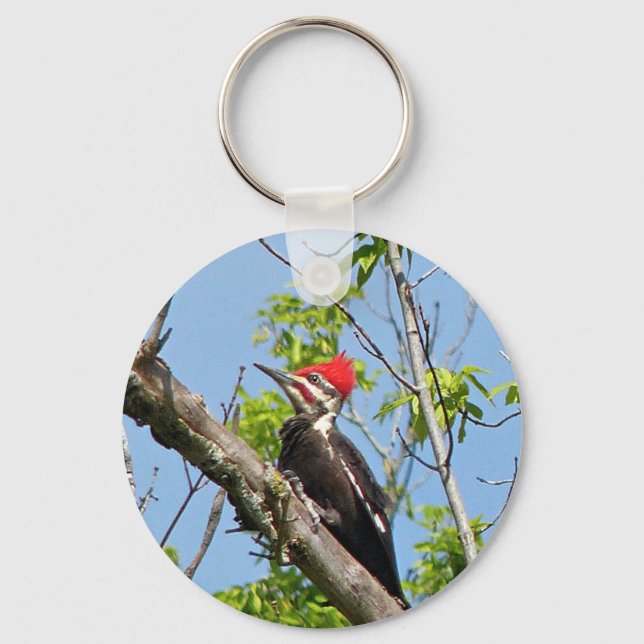 Male Pileated Woodpecker Keychain (Front)