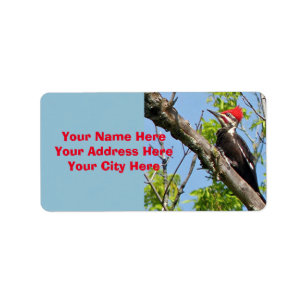 Male Pileated Woodpecker Label