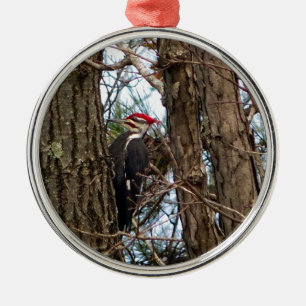 Male Pileated Woodpecker Metal Ornament