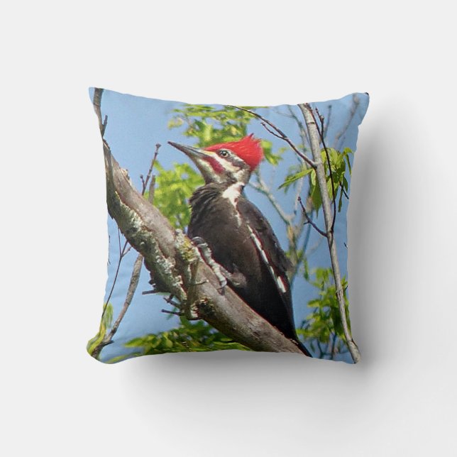 Male Pileated Woodpecker Throw Pillow (Front)