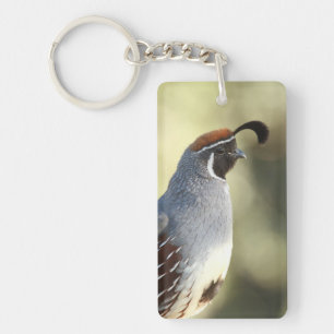 Male Quail Keychain