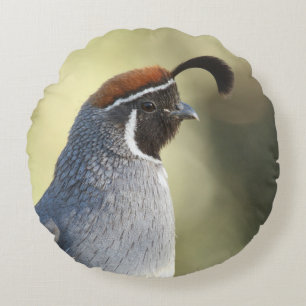 Male Quail Portrait Round Pillow