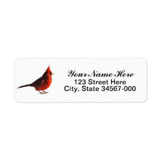 Male Red Cardinal