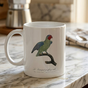 Male Red-Cheeked Parrot, Geoffroyus geoffroyi Coffee Mug