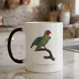 Male Red-Cheeked Parrot, Geoffroyus geoffroyi Magic Mug
